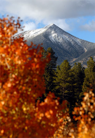 FIRST SACRED SNOW, FIRST SACRED TRACKS