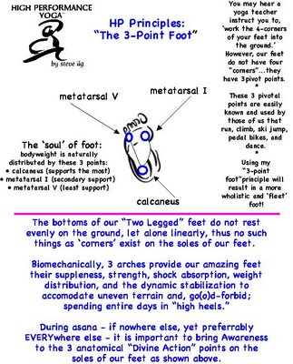 HP Yoga Principle: The 3-Point Foot…Exploring your FOOT FITNESS!