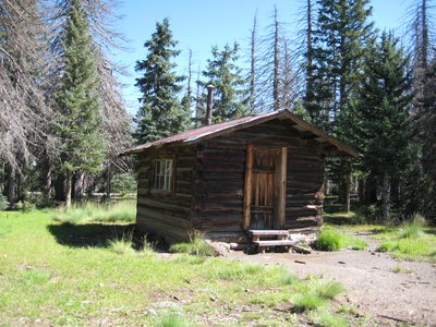 "They Don’t Make Personal Trainers Like Coach Anymore!"