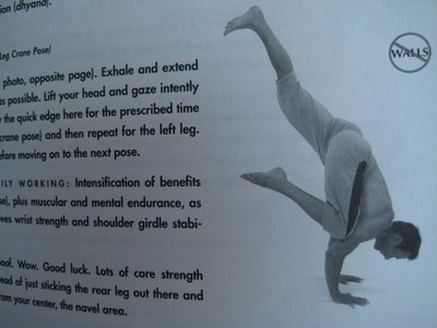 Exercise Profile: Skilfull Hunting For An Elegant Crane Posture