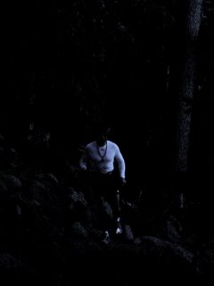 Running Into Shakespeare – "In me thou see’st"