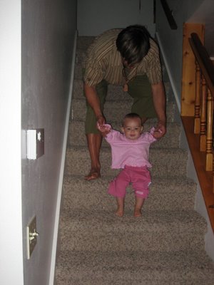 Daddy Dharma; First Year Teachings From A Mountain Yogi