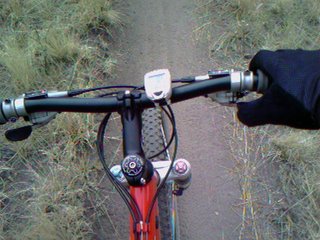 MA has a fever…FLAG’s FOREST CLOSED DOWN! WF Principle of Cardio Commuting not at fault!