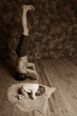 Our Tribe’s Most Popular Photo and Video Choices of 2008