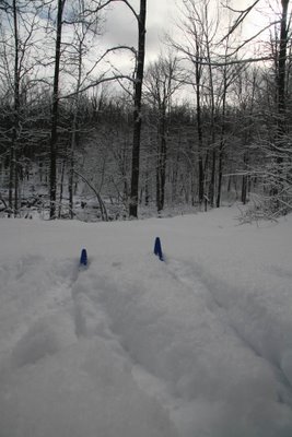 Online Student Sauve get’s FIRST TRACKS!