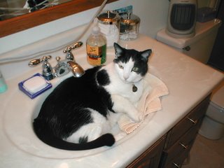 Something Complete and Great