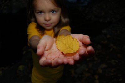 Always Room In A Day For Rumi!