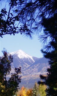 Student Haiku of the Week; Tobe’s Snow