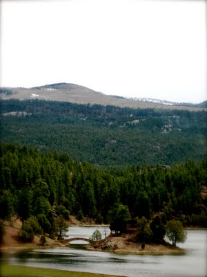 OFF TO THE RACES: Day One – ilg is getting squished by the Sqauwker!