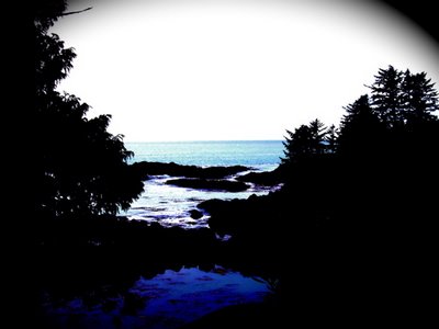 PART TWO: The Vibrational Upgrade of the WF Warrior Tribe and ilg’s exit